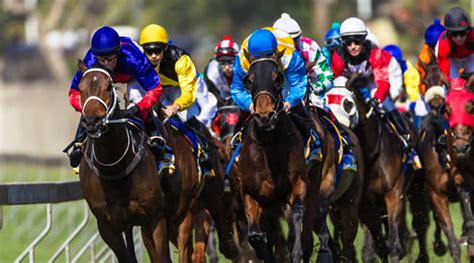Sydney Autumn Carnival Ultimate Guide .